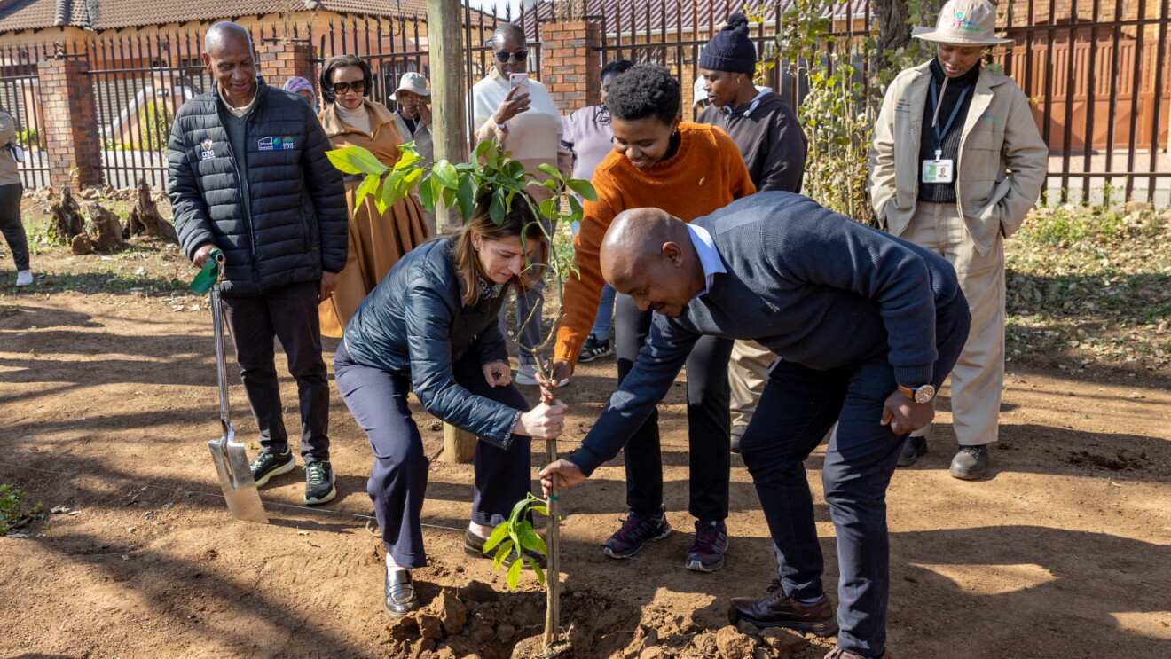 Community members planting a tree together at a ceremonial event
