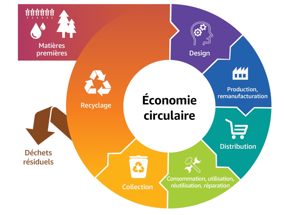 Infographie sur l'économie circulaire 