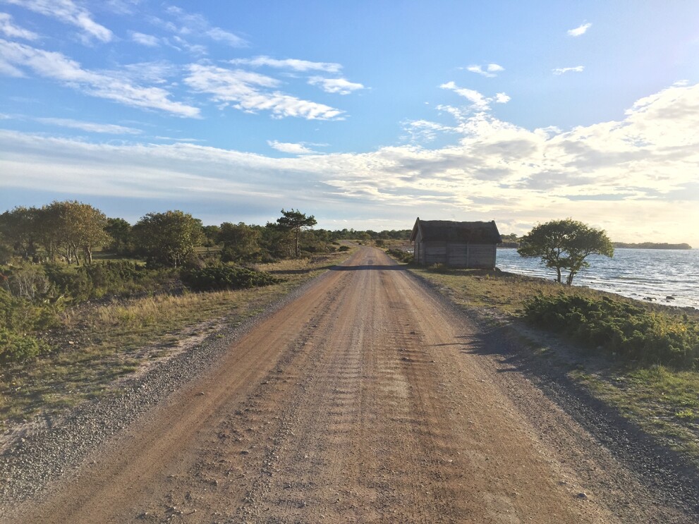 Reisen mit Hund_Haustier