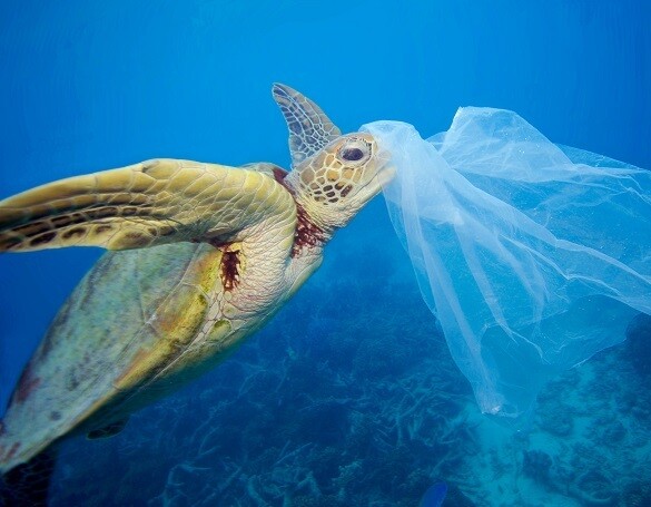 Amazon Smile spendet 10 Millionen Euro an gemeinnützige Organisationen