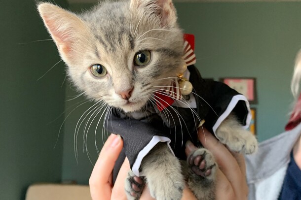 Images from the ASPCA in thanks to Amazon for donating thousands of items, including 6,500 pounds of pet food 