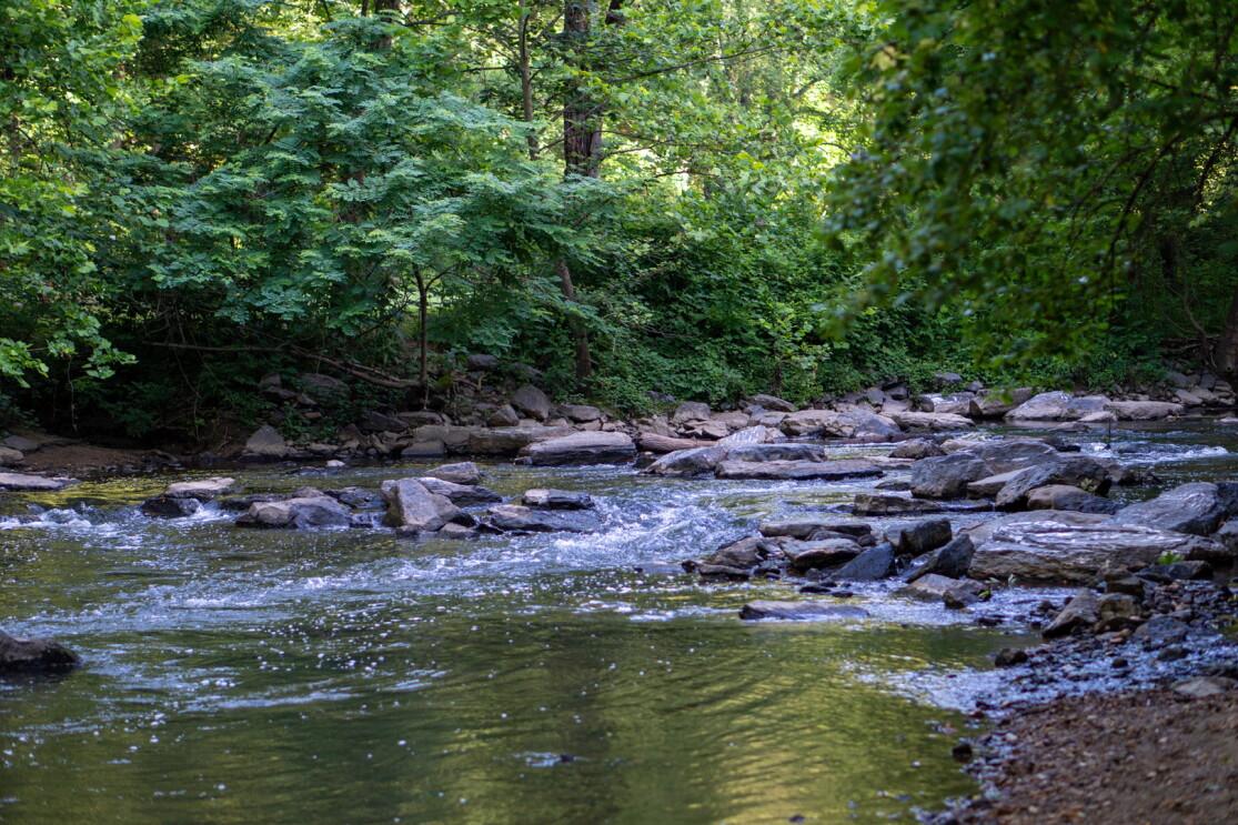 Images of the beautiful outdoor landscapes that inspired the design of Amazon's new, second headquarters.
