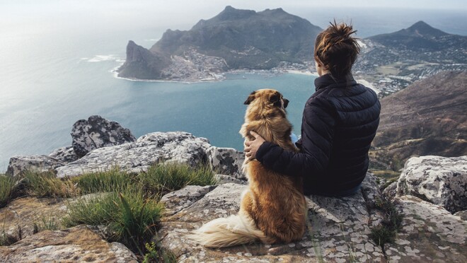 一只狗和一位女性主人坐在窗台上,俯瞰着露出岩石和半岛的海洋。