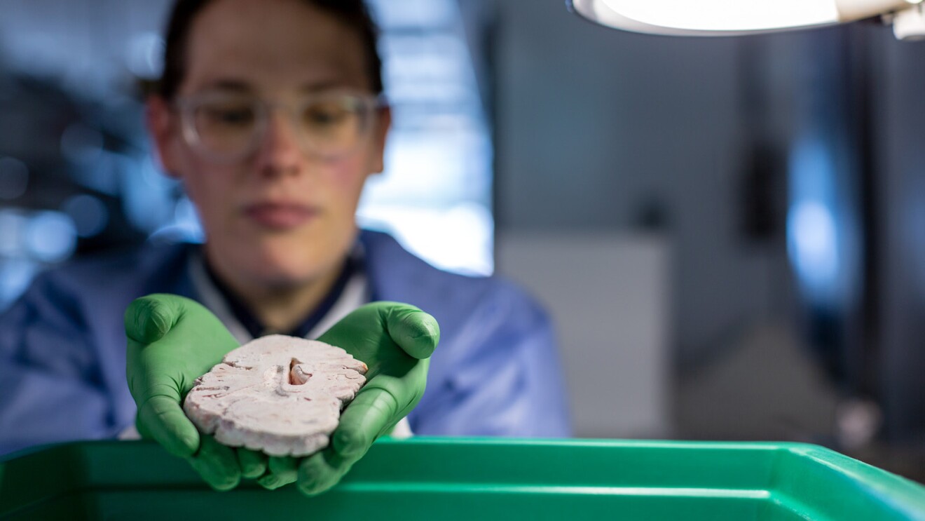 A photo of Rebecca Hodge, Ph.D., assistant investigator, Allen Institute for Brain Science holding a segment of a human brain.