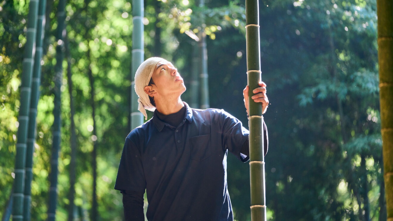 A man wearing a white head wrap and dark shirt grips a tall bamboo stalk and gazes upward in a sunlit bamboo grove.
