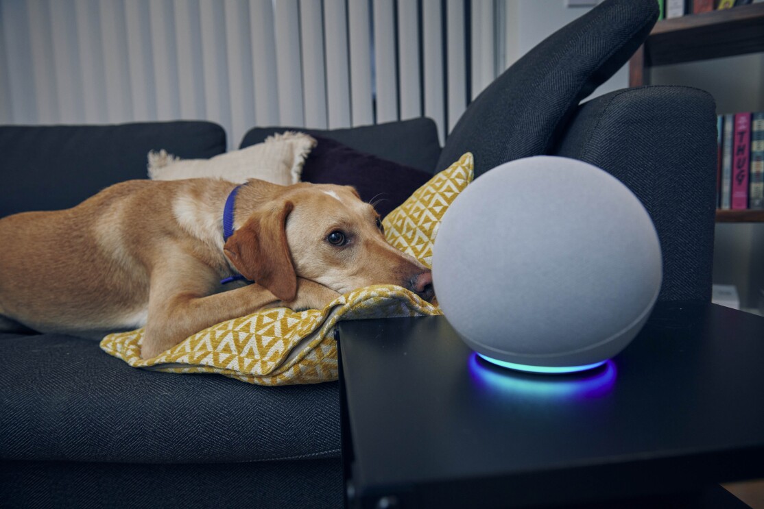 Amazon_Alexa_Battersea