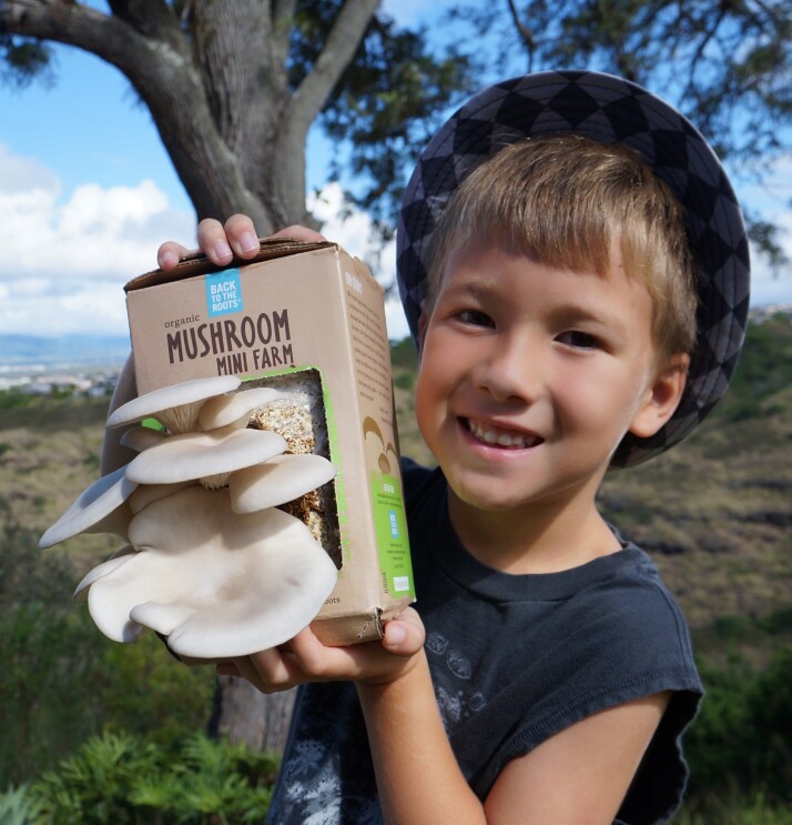 Sustainable small business on Amazon Launchpad