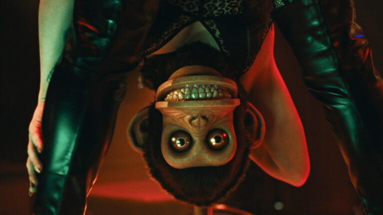 Upside-down, nightmarish monkey with large eyes and teeth in a dark, moody setting