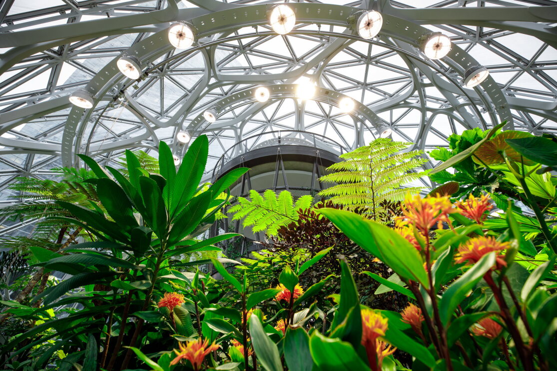 Interior view of The Spheres