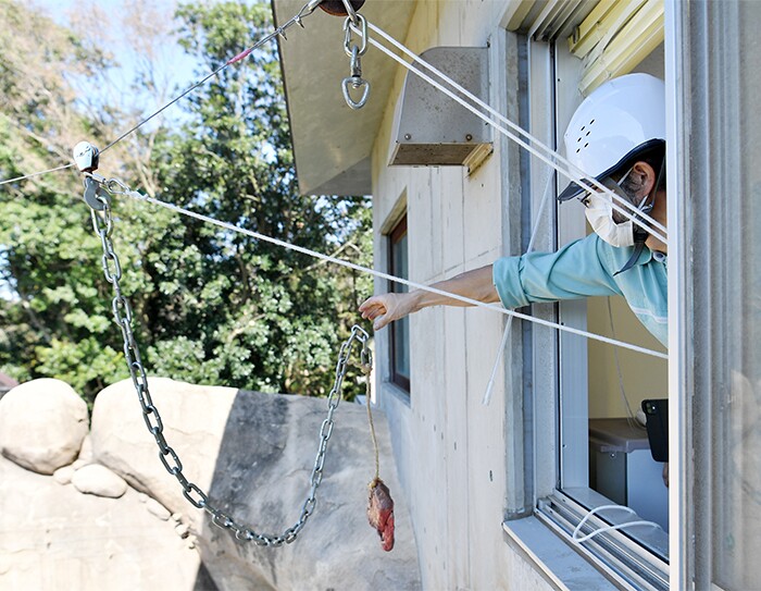 千葉市動物公園「ミートキャッチャー」