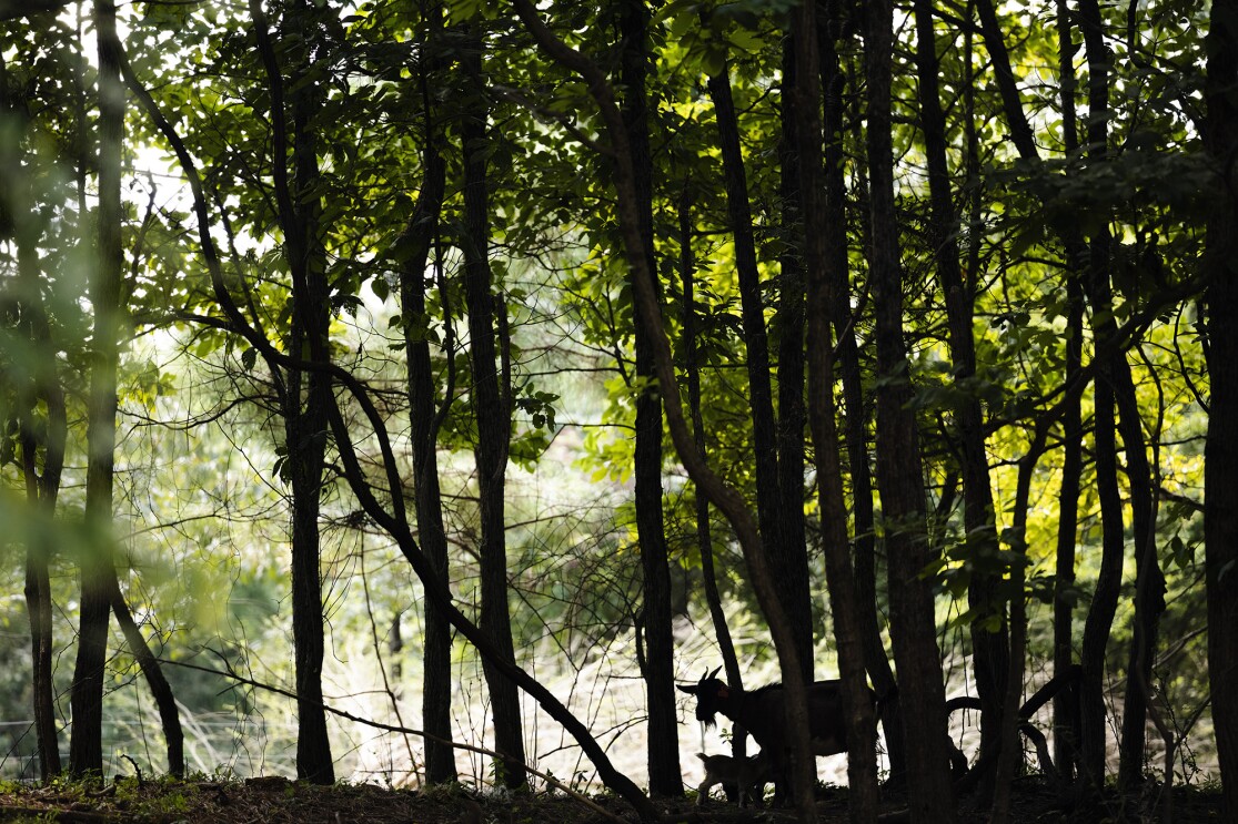 Juwan Page, a man who works at Amazon and also runs his family's multi-generational farm in Mississippi