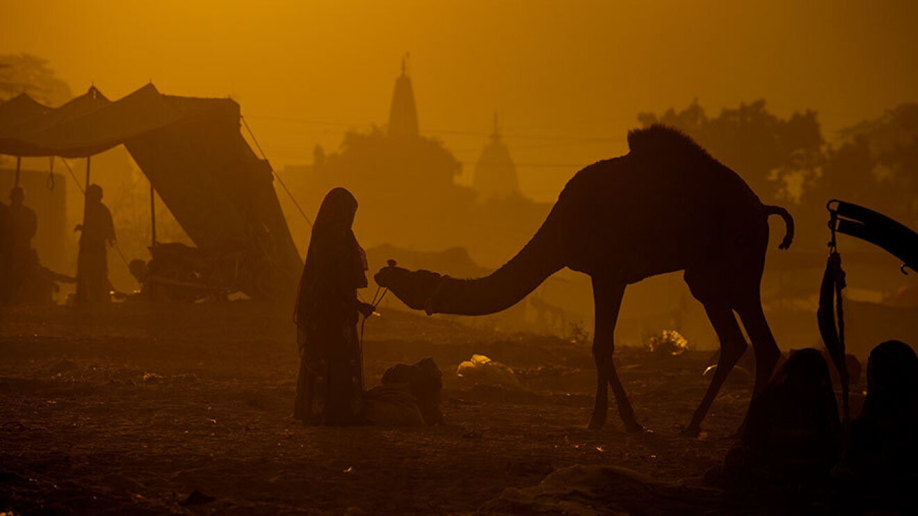 Pushkar