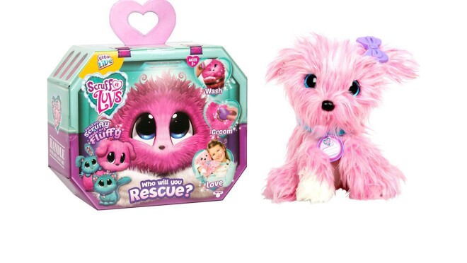 一个毛绒玩具,叫做颈背乐芙适。一个邋遢的神秘的玩具当你购买它时,却与爱,清洗和梳理,它变得可爱。玩具可能是一只猫,狗,兔子。