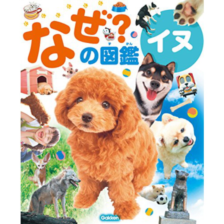 Kids plus