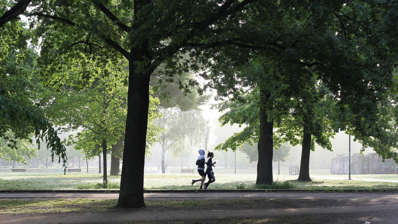 A couple jogging in a park