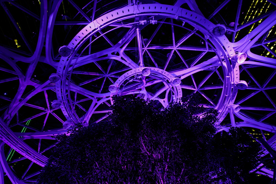 Purple spheres for Special Olympics