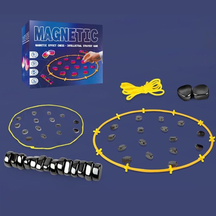 An image of the magnetic game described