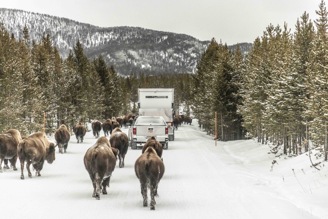 An image of Amazon packages being delivered to Yellowstone National Park in the winter.