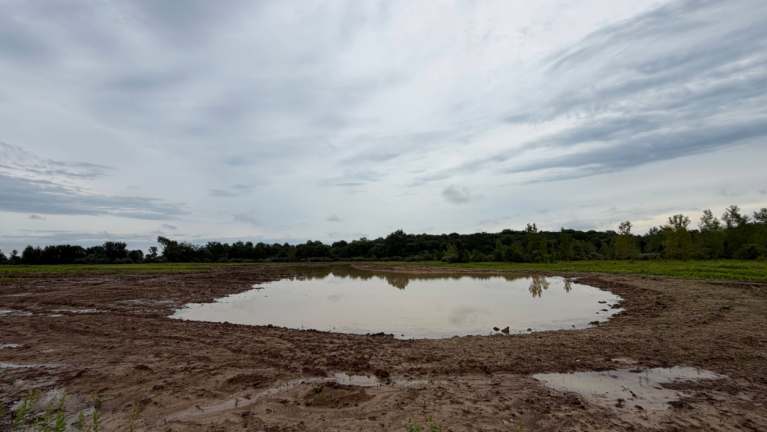wetland restoration at Glacier Ridge project.png