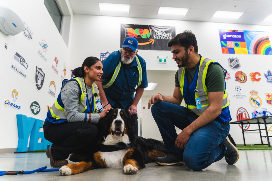 Amazon employees wearing vests petting a dog