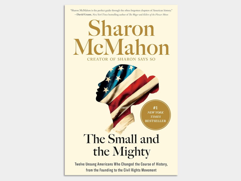 Book cover: The Small and the Mighty by Sharon McMahon, featuring American flag silhouette