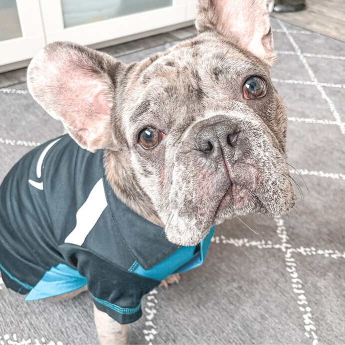 Sam looks up at the camera as he sits wearing an Amazon delivery driver costume.