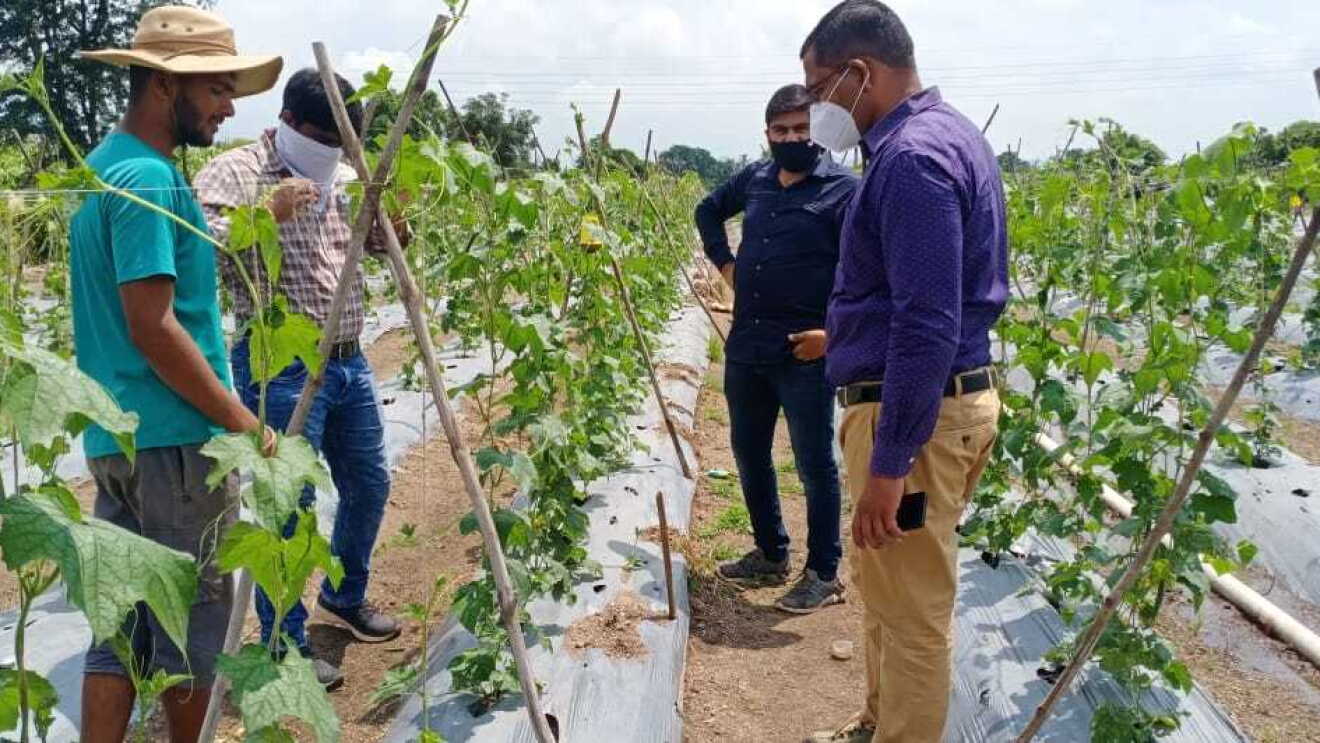 A person providing agronomy services 