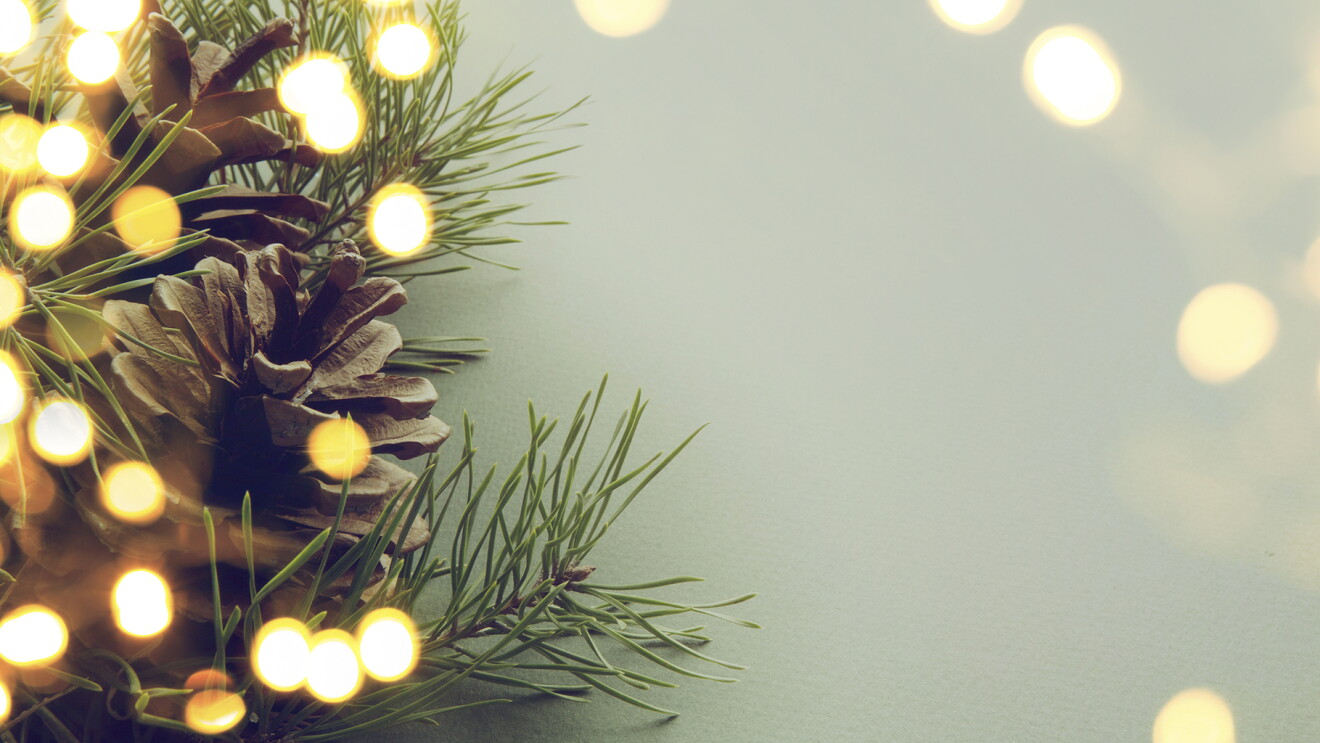 A sprig of fir needles and a pine cone, with twinkling lights scattered throughout