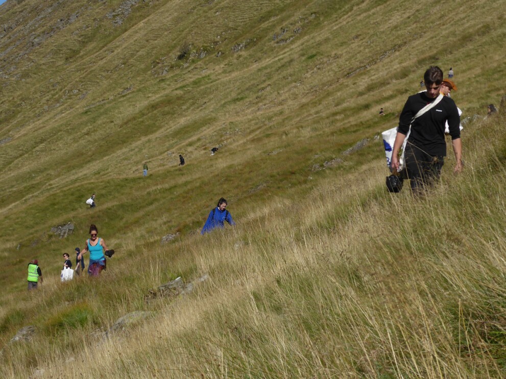 An image of a group of people working to plant trees on a hillside