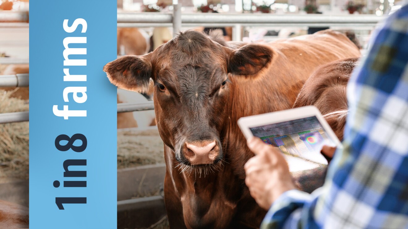 An infographic that includes a photo of a cow and a farmer holding a tablet. In the forefront, there is a statistic that states, "1 in 8 farms".