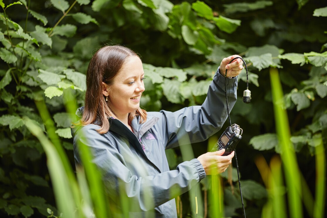 NHM ecologist at work in the gardens