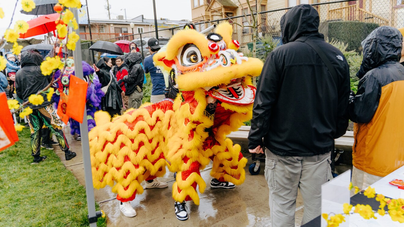 Vibrant Chinese lion dance costume amid rainy festival crowd
