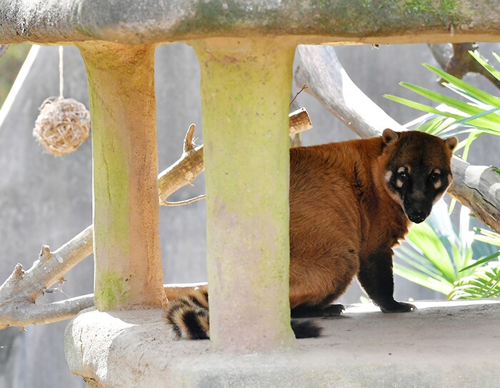 「ほしい物リスト」でつながる応援する心：千葉市の試み