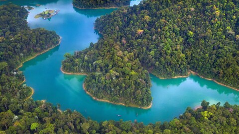 A river winding through forests.