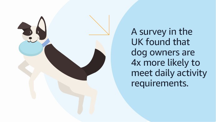 An image of a stat card sharing how dogs benefit their owners' health.