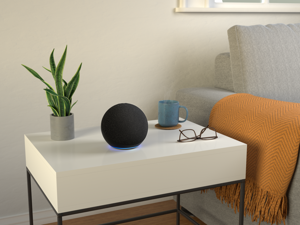 Echo Lifestyle Privacy