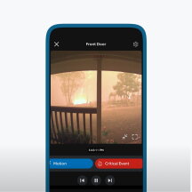 Reviewing a Fire Alert video on the Ring app