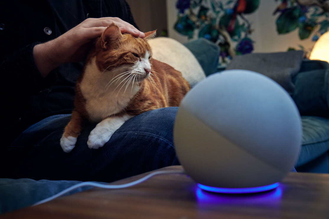 Alexa_Pets4