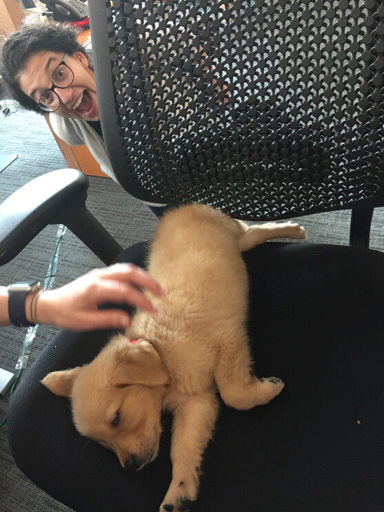 Dogs of Amazon - puppy with Alli