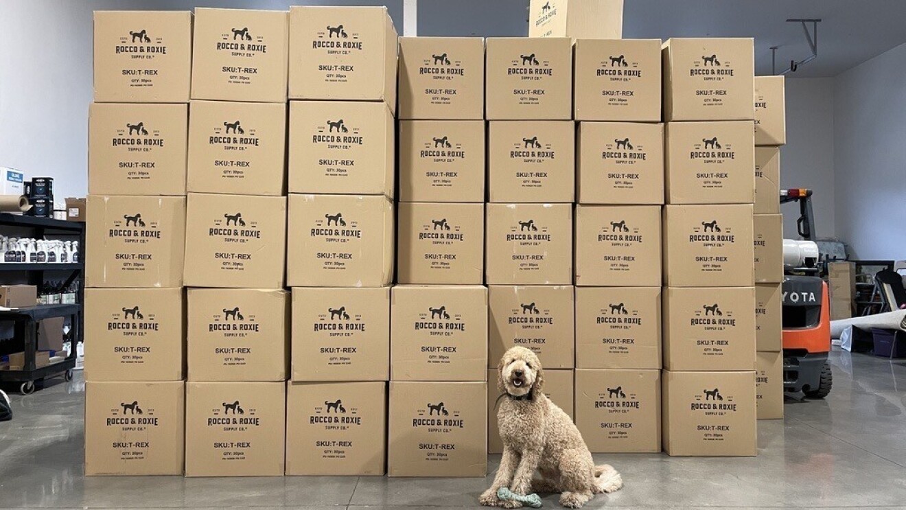 A golden doodle dog sits with a toy in front of a stack of Rocco & Roxie boxes.