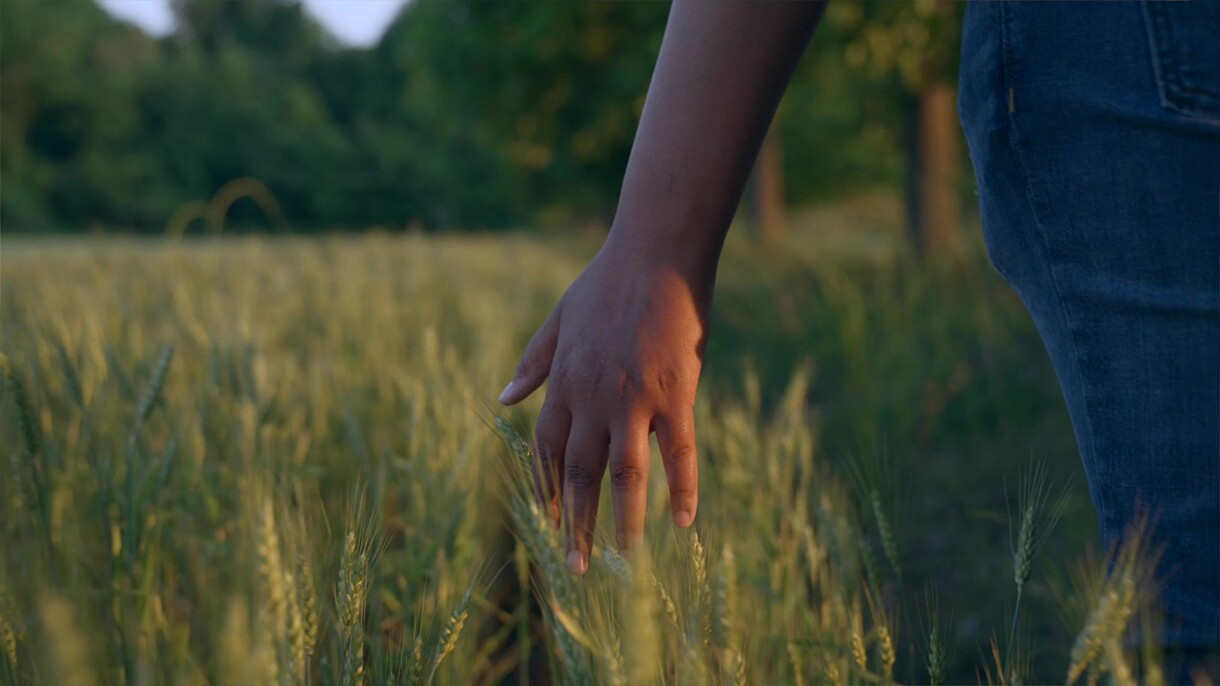 Newton's fingertips graze the top of tall grass as she walks through a field.