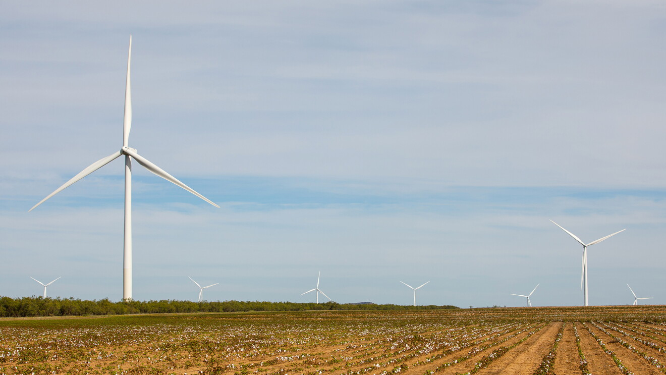 Amazon Wind Farm in Texas.