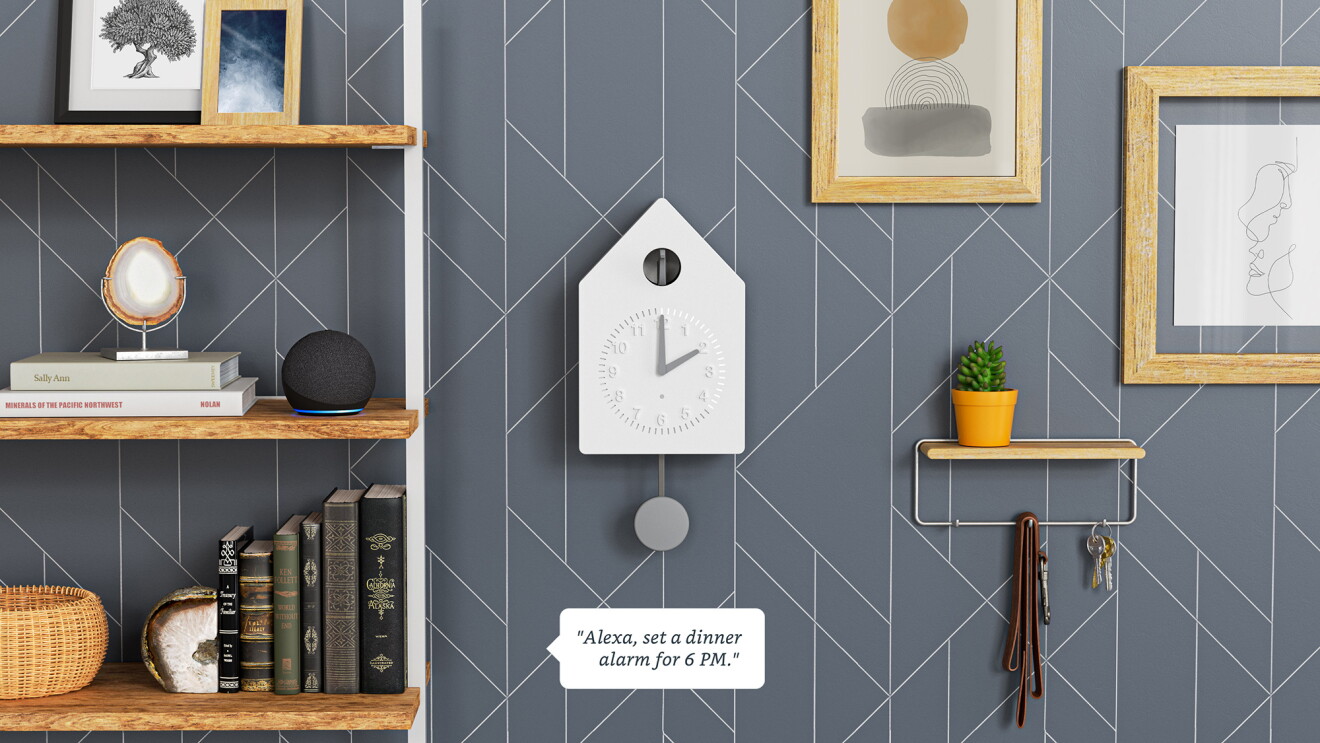 Amazon smart devices crowd sourced to development.