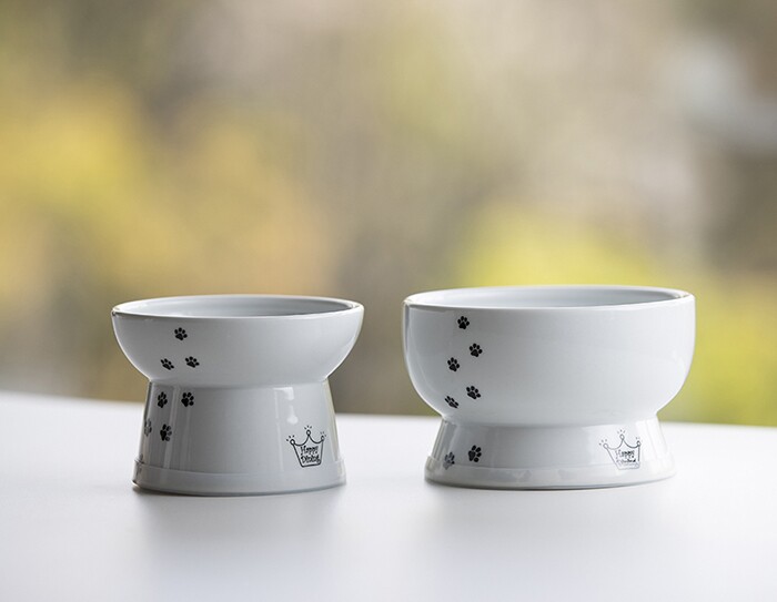 デジタルが切り拓く中小企業の未来 Vol.2
なぜ、彼らは海外進出で成功を収めたのか？