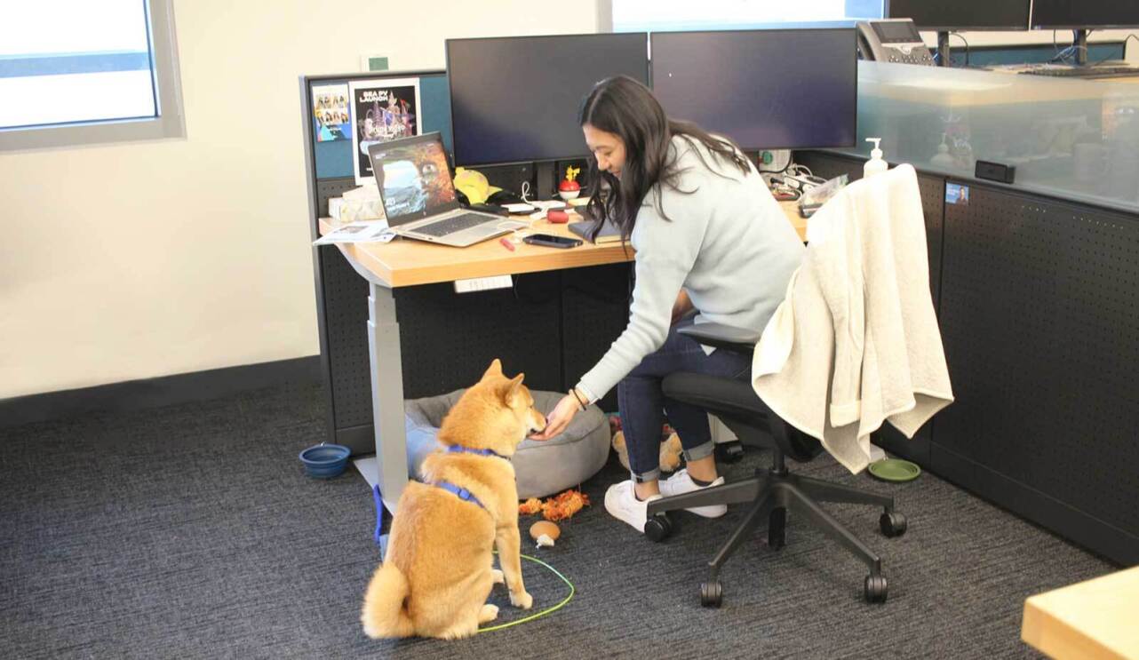 An image of a tan dog inside an Amazon office sitting near a desk next to his owner.