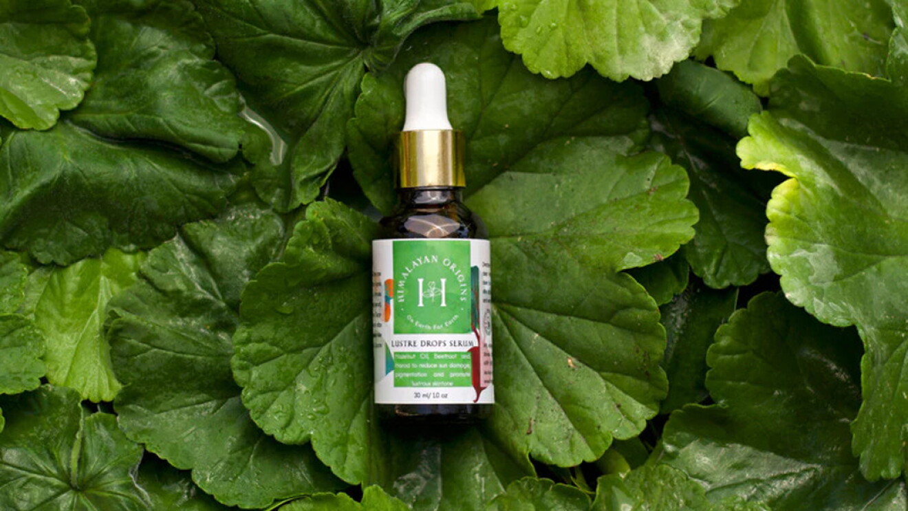 Himalayan origin product image
