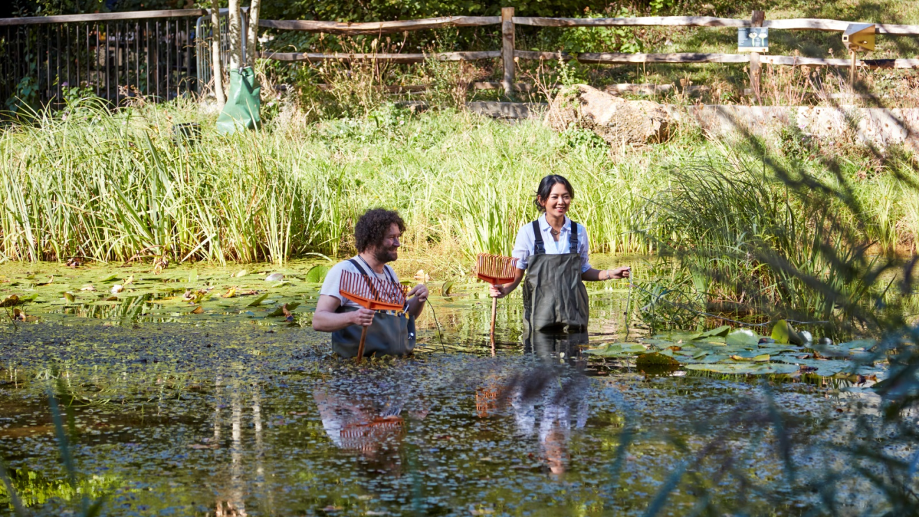 Two individuals wading in a pond surrounded by lush greenery