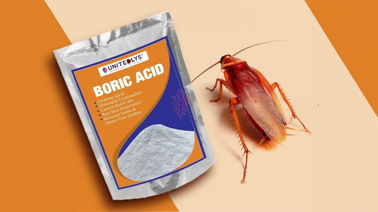 Roach killers on Amazon.in