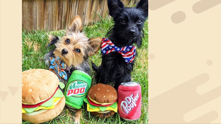 Women-owned small business on Amazon