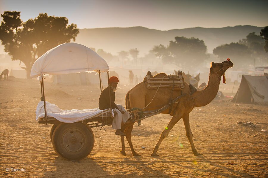 Pushkar 4